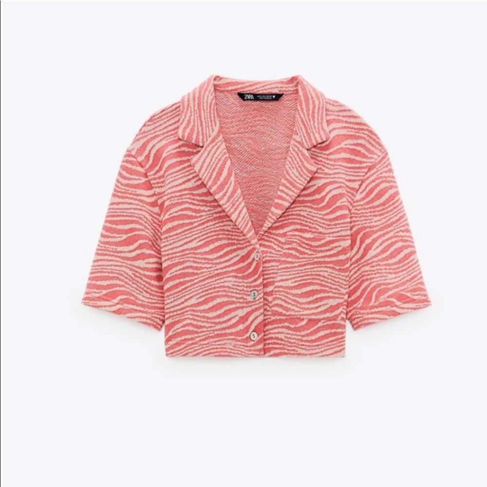Zara crop top